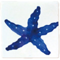 TO-002 STARFISH