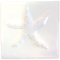 TO-010 3D STARFISH