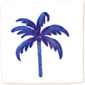 TO-012 PALM Navy