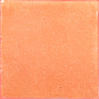 T.C.-015