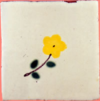 T.F.-081-Y